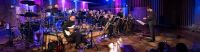 Focused on Jazz Fusion